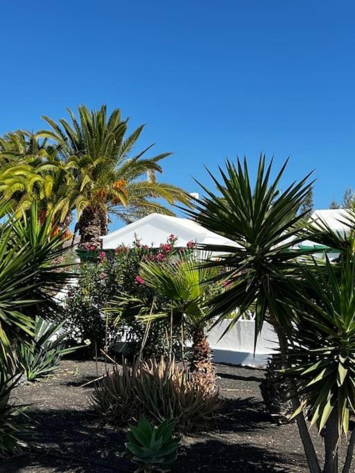 Lovely Casita Jade Playa Blanca  Esterno foto
